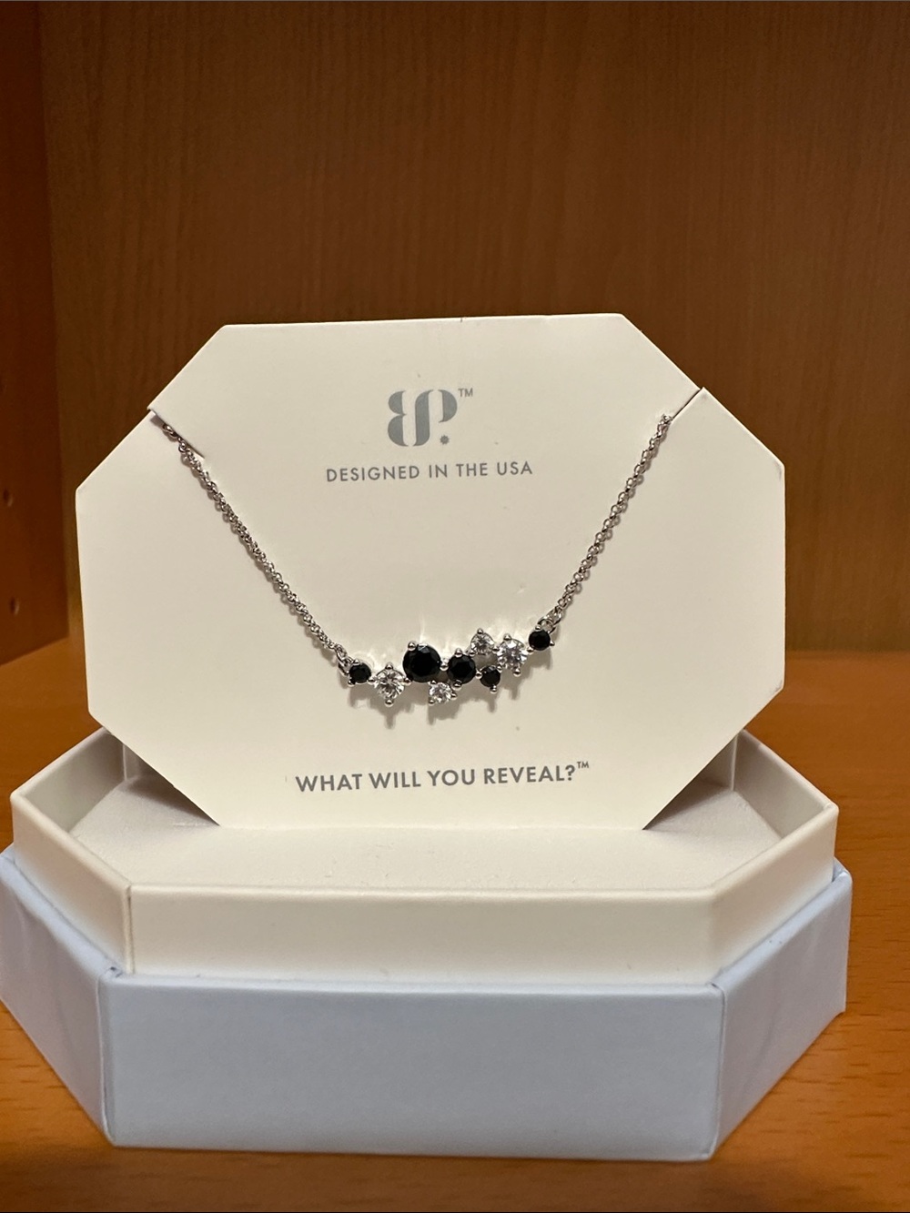 bp Silver Necklace with Black Onyx